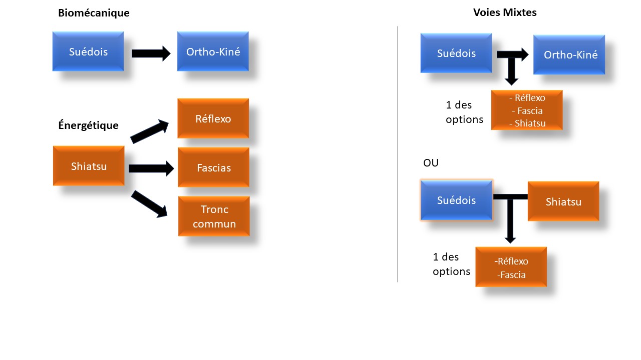 organigramme formation