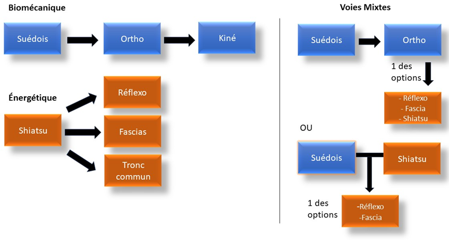 organigramme formation