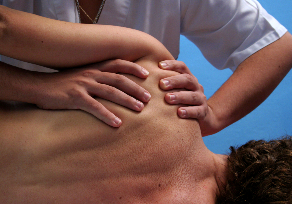 2e niveau, 2e session de l’Orthothérapie-Kinésithérapie ORK-203